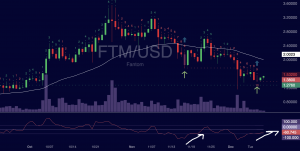 Fantom (FTM) Trade Insight