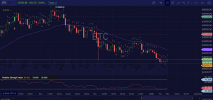 Bitcoin Trade Insight 1/11/21